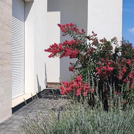 White Column House דירה